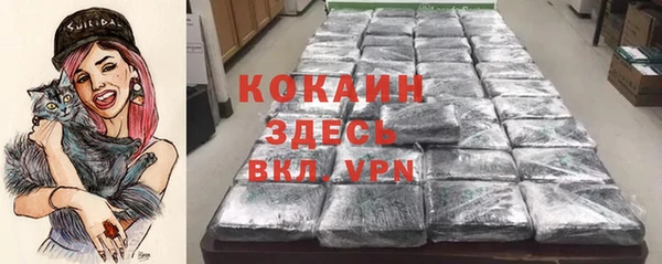 прущие крисы Алзамай