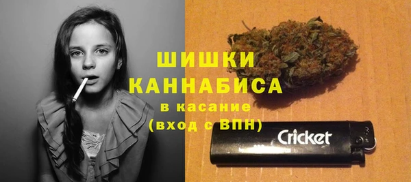 прущие крисы Алзамай