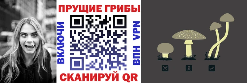 KRAKEN маркетплейс  Палласовка  Галлюциногенные грибы Magic Shrooms 